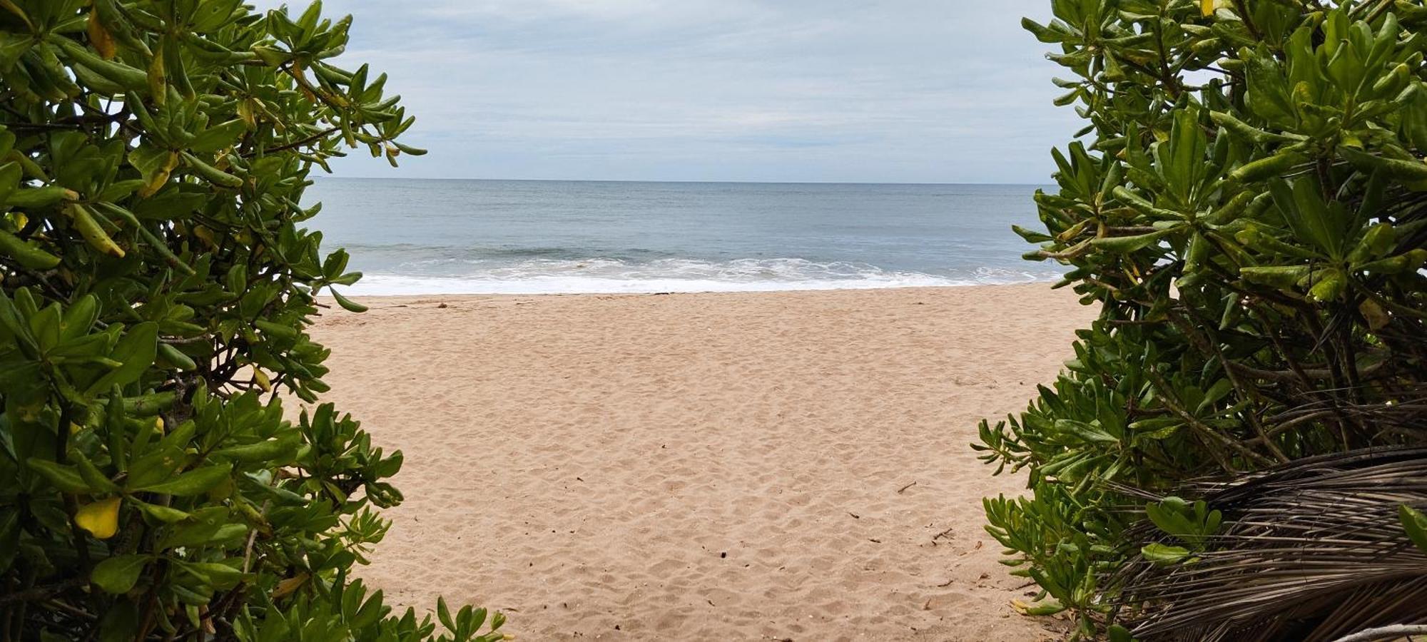 Bed and Breakfast Eco Nest Marakolliya Тангалла Экстерьер фото